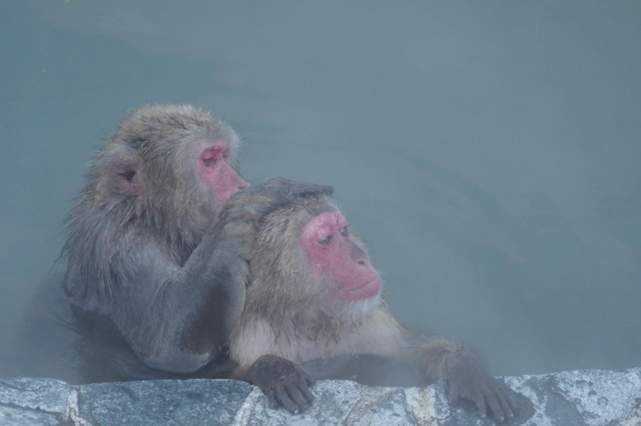 Hotel Mount Shiga Yamanouchi  Zewnętrze zdjęcie